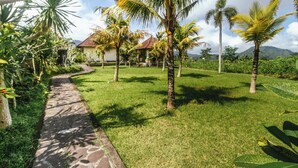 Un sendero que lleva a una casa rodeada de palmeras y follaje.