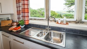 Una cucina con un lavello in acciaio inossidabile, una finestra vista verde e una tenda a quadri.