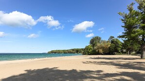 Ein Strand mit blauem Himmel, ruhigem Wasser und Bäumen.