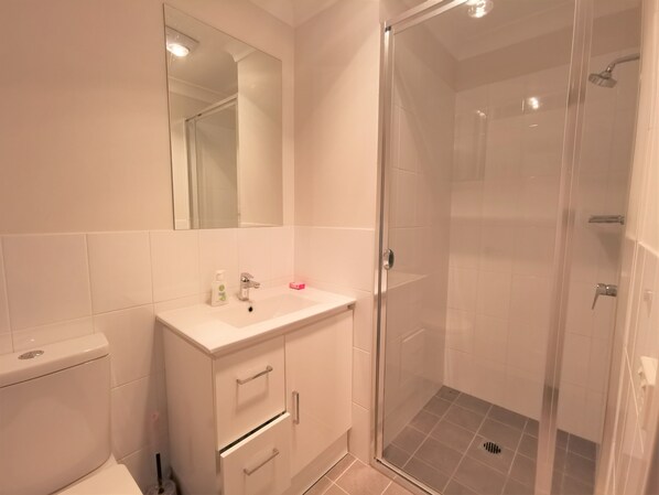Shower, hair dryer, towels, soap