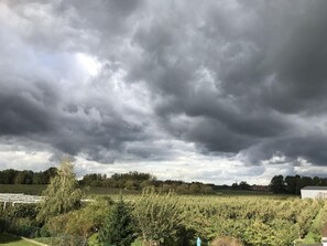 A vineyard with rows of grapevines under a cloudy sky. - Cozy Vacation Home for 8 Persons in Heers (Heers)