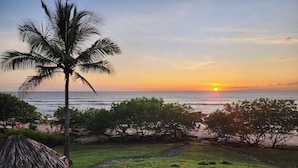 Sonnenuntergang über dem Meer mit einer Palme und Strandvegetation.