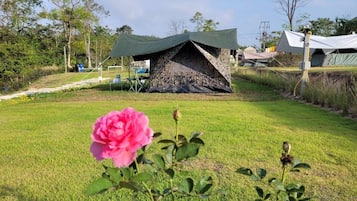 露台/庭院