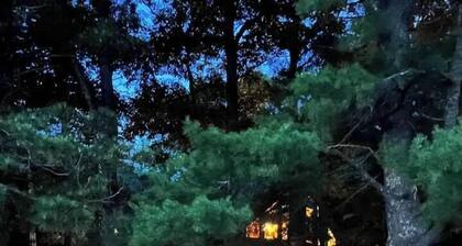 Breezy Point Lookout