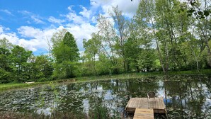 A wooden dock extending into a pond surrounded by lush greenery and trees.