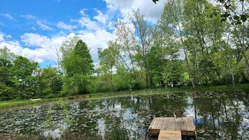 المنطقة المحيطة بالمنشأة