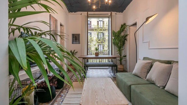 Ein gemütliches Interieur mit einem grünen Sofa, einer Holzbank und Topfpflanzen.