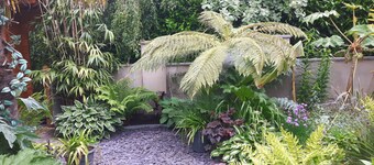 Cabin set in a Beautiful Romantic Tropical Garden