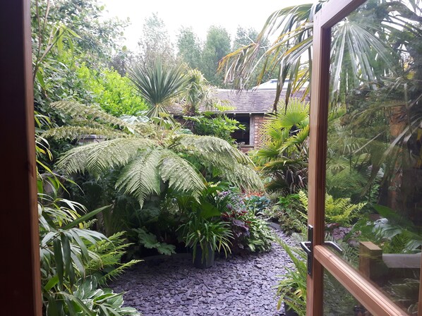 Un jardin luxuriant, avec une variété de plantes et un sentier.