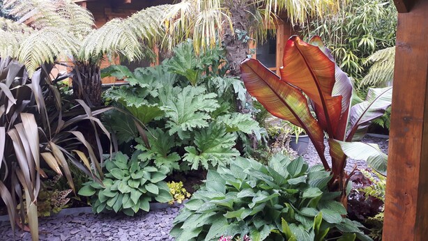 Ein Garten mit verschiedenen Pflanzen und einer Holzkonstruktion.