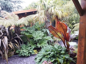 Un jardin avec différentes espèces de plantes et une structure en bois.