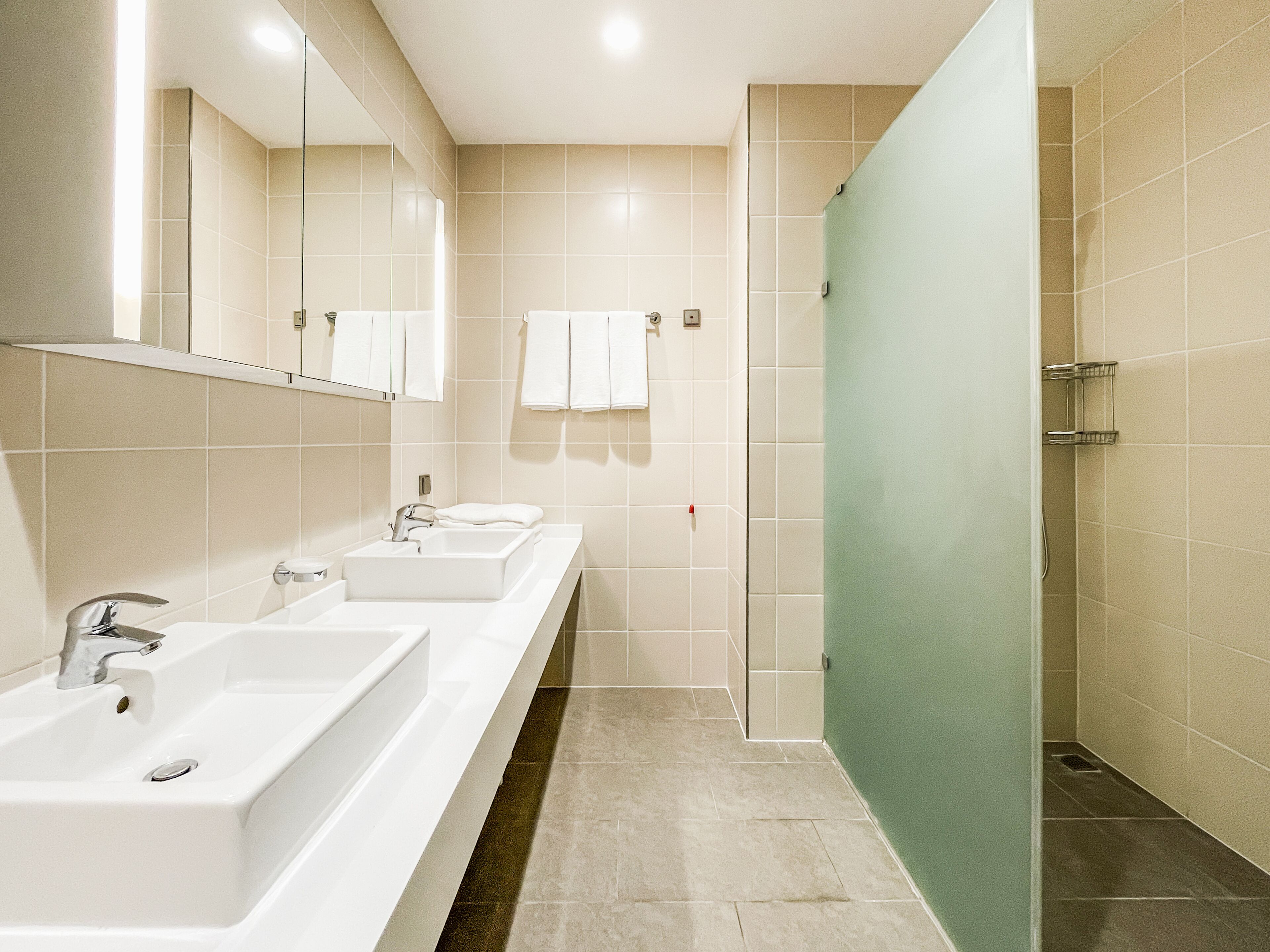 A modern bathroom with two sinks, a mirror, and a shower area.