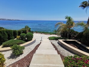 Un sentier qui mène à une plage d’où l’on a une vue dégagée sur l’océan.