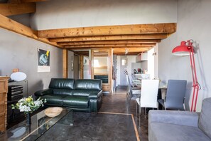 TV, DVD player, stereo - Linessa - Duplex vue montagnes (Embrun)