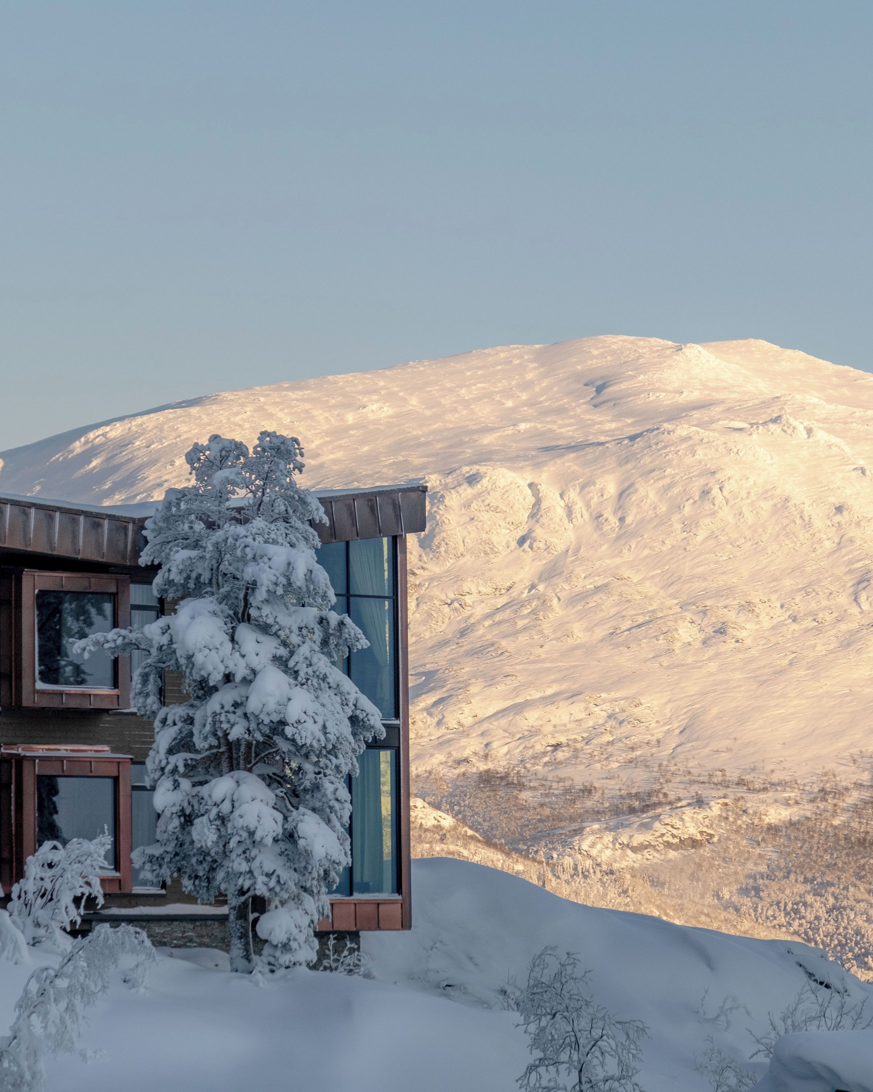 Un bâtiment moderne à deux étages, doté de grandes fenêtres, entouré d’arbres couverts de neige et avec une montagne en arrière-plan.