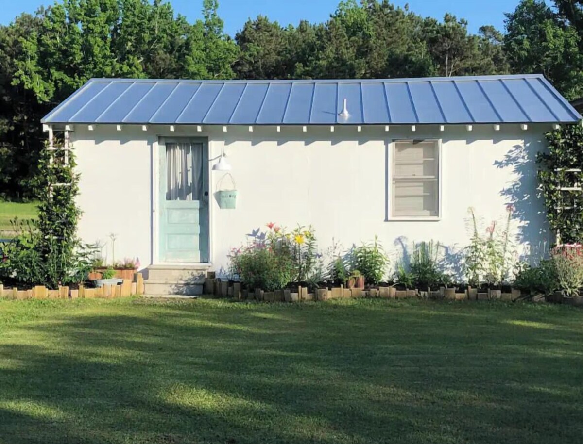 Imagen de perfil del propietario o de la propietaria