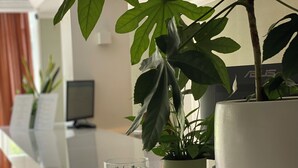 Un moderno hall de hotel con una larga recepción, plantas en macetas y un gran jarrón blanco.
