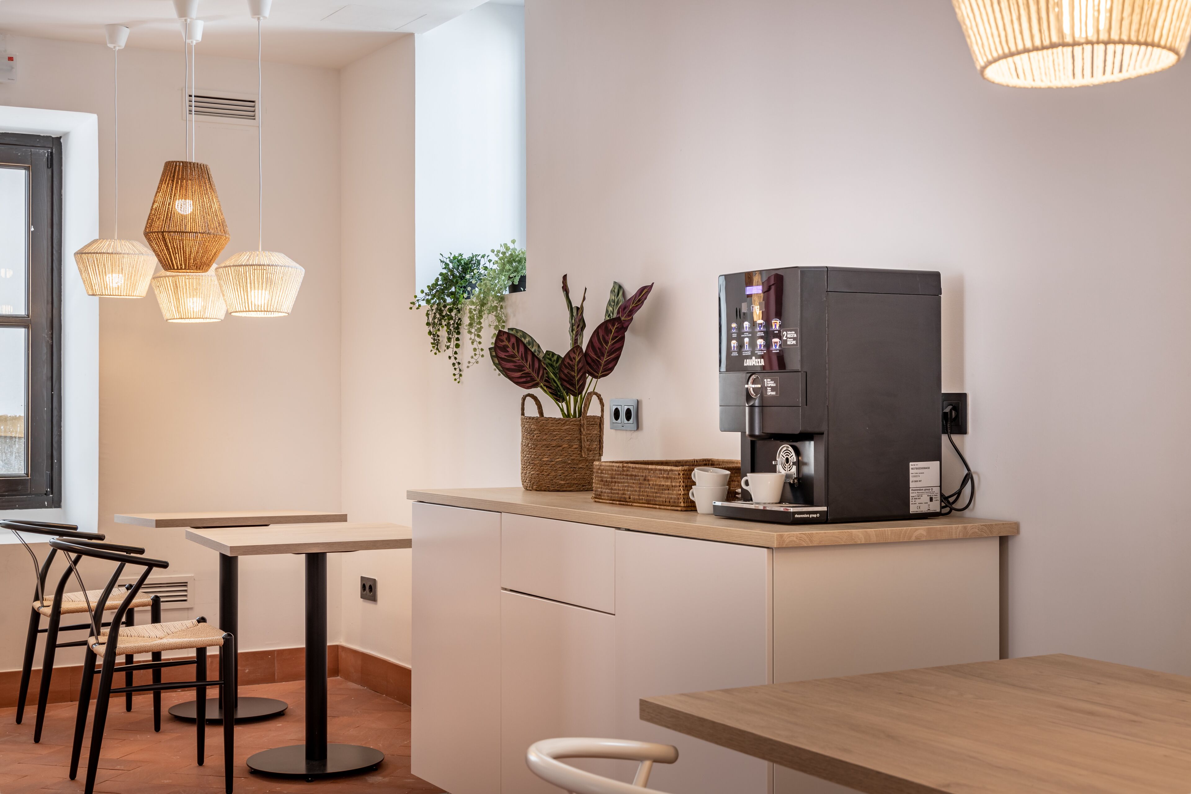 Photo - Cats Hostel Córdoba