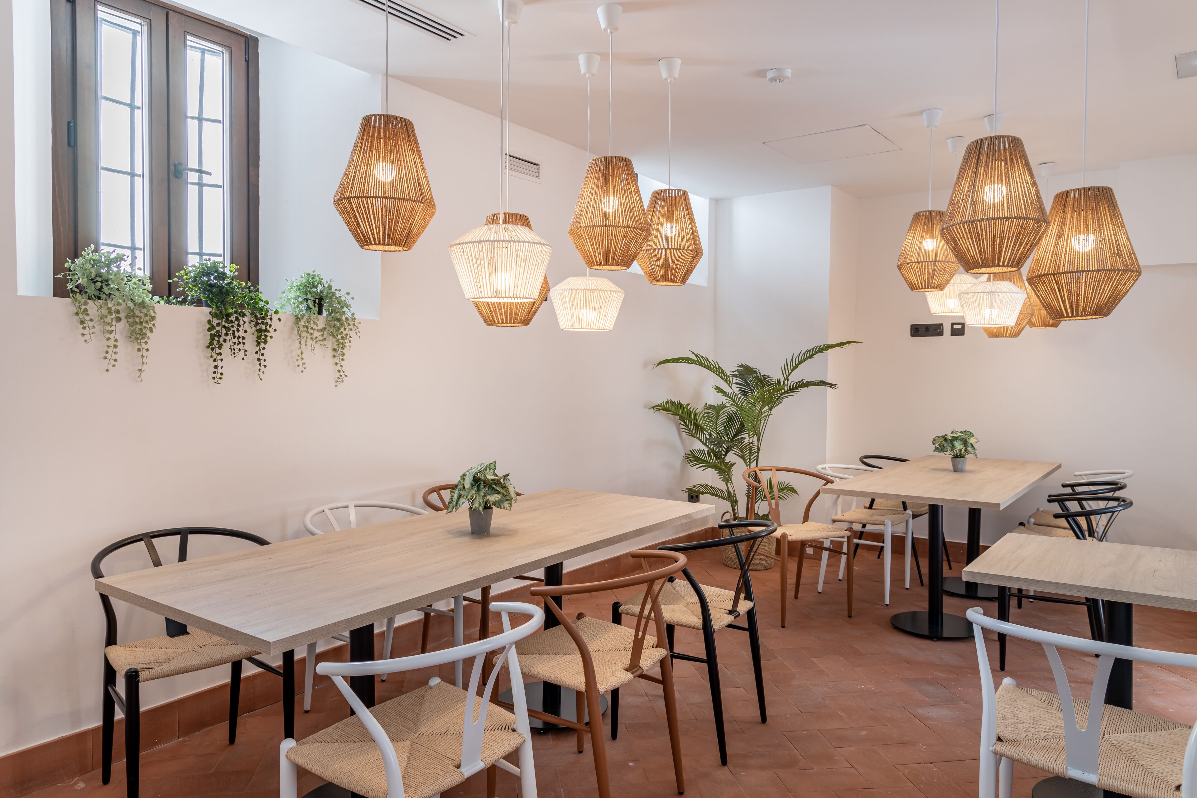 Photo - Cats Hostel Córdoba