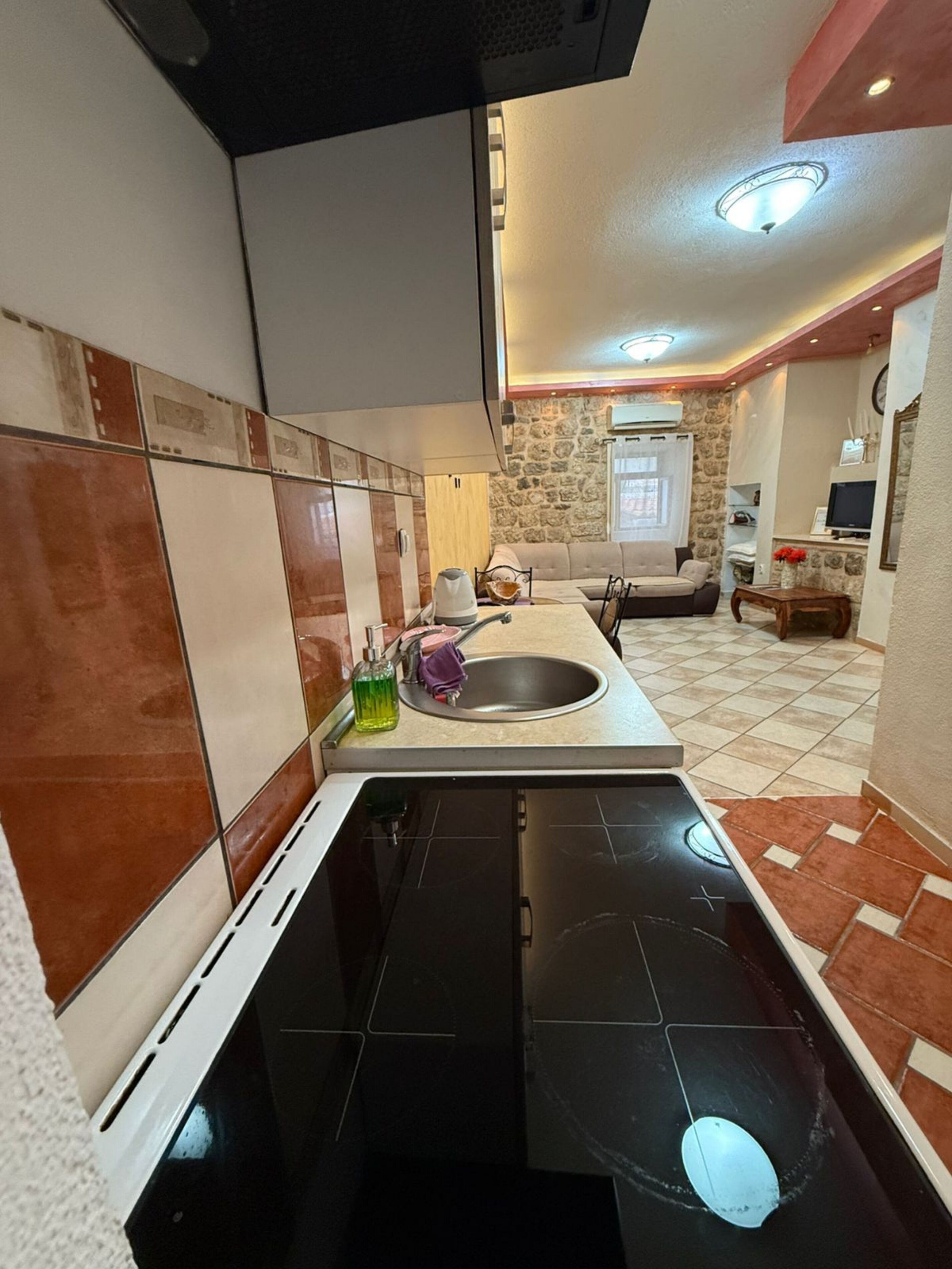 1+1 Standard Flat | Private kitchen | Mini-fridge