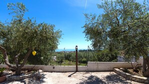 Un espacio al aire libre con piso de concreto, una reja de metal y árboles que dan sombra.
