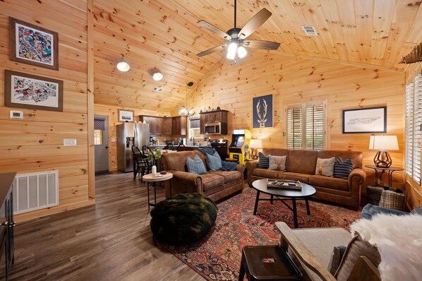 Smart TV, fireplace, books