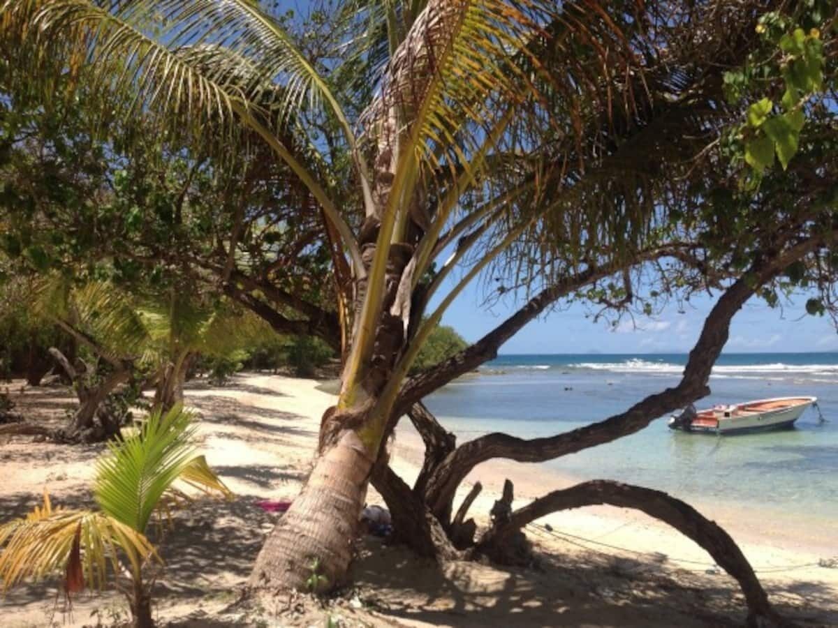 A beach with a boat, palm trees, and clear blue water.