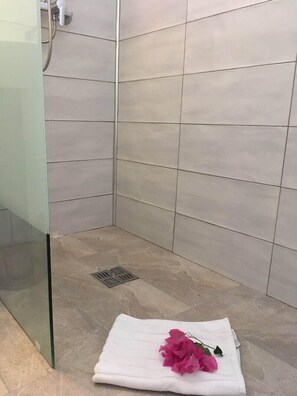 Douche, serviettes fournies, papier toilette