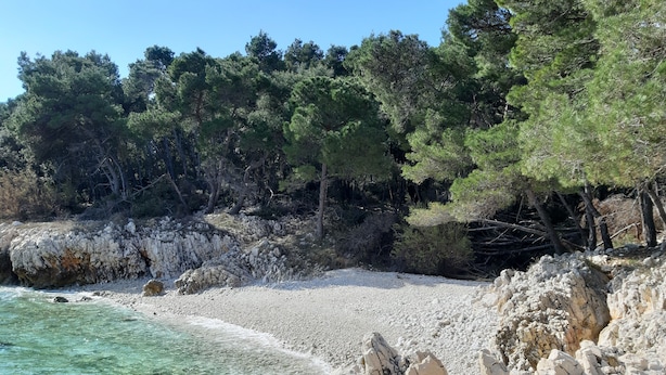 Una playa rocosa con aguas turquesas cristalinas, rodeada de densos pinos.