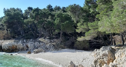 Luxury apartment in the city center with a large terrace, garden, private garage