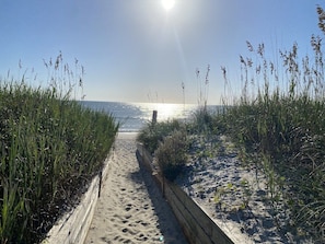 On the beach