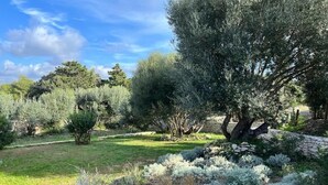 A garden with various shrubs and trees, a stone wall, and a wooden deck. - Charming new villa for 6 people near sperone and bonifacio (BONIFACIO)