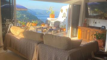 تلفزيون ذكي، ألعاب فيديو، مشغل دي في دي، كُتُب