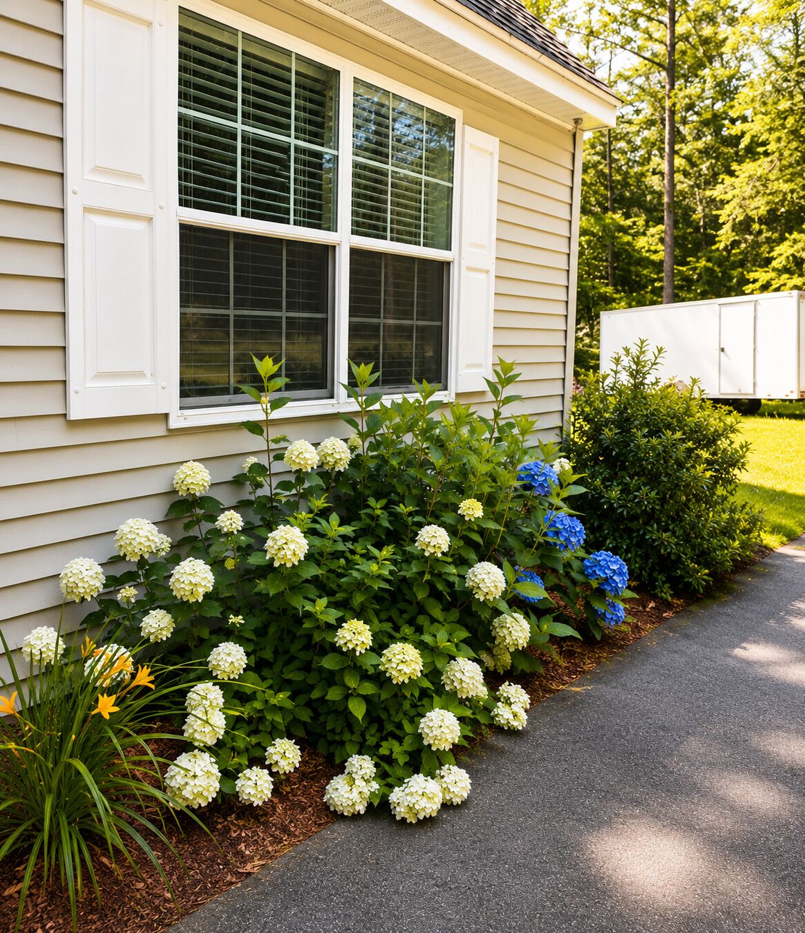 A house with a window, a garden with hydrangea flowers, and a white trailer in the background.