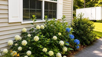 A house with a window, a garden with hydrangea flowers, and a white trailer in the background.