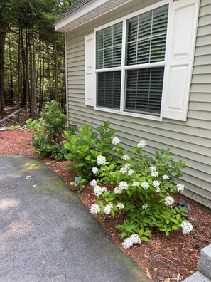 تفاصيل الفندق من الخارج