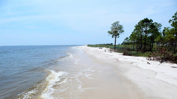 House, 4 Bedrooms | Beach | On the beach - 014 Beachwalk by ACP (Dauphin Island)