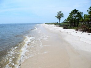Beach - 014 Beachwalk by ACP (Dauphin Island)