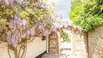 A narrow alley with a white wall on one side and a brick wall on the other, covered with purple flowering vines.