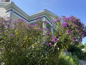 Property grounds - Gorgeous 1838 Greek Revival home in historic Seneca Lake with with lake access. (Seneca Falls)