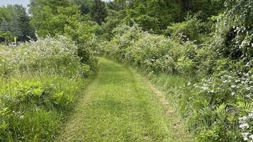 Área da propriedade