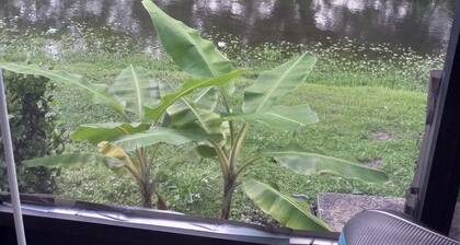 Convenientto major hwy mall and shopping center