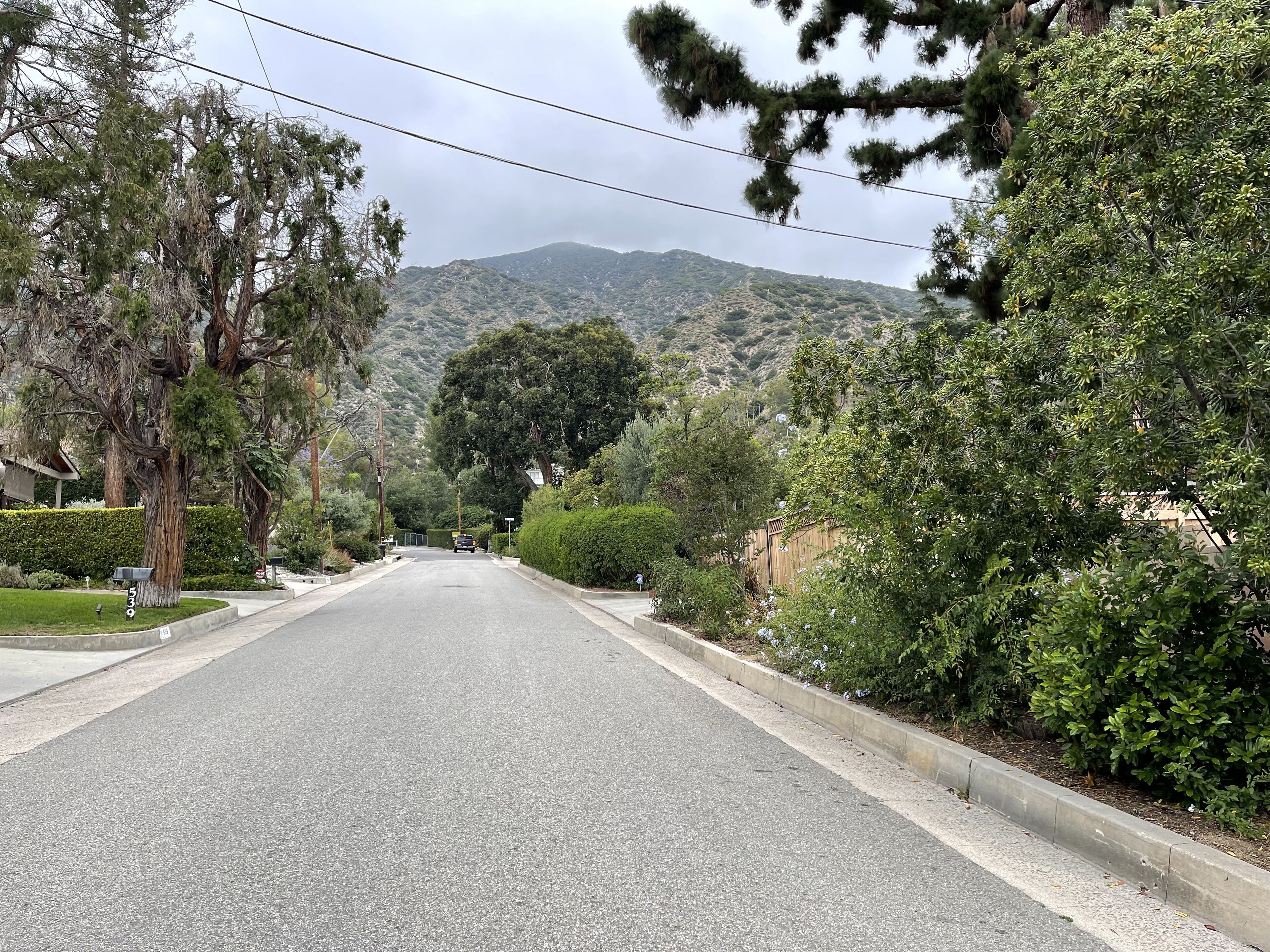 Una calle residencial tranquila bordeada de árboles maduros y una montaña al fondo.