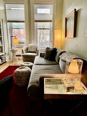 Smart TV, books, stereo - 2-bedroom vacation home with gorgeous back yard five stops to Manhattan (Brooklyn)