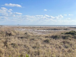Condo, 3 Bedrooms | Beach | On the beach