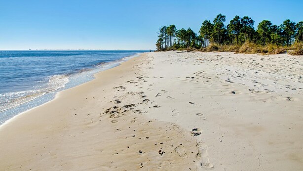 Unclassified image, 1 of 31, button - 065 Surf Club B5 by ACP (Dauphin Island)