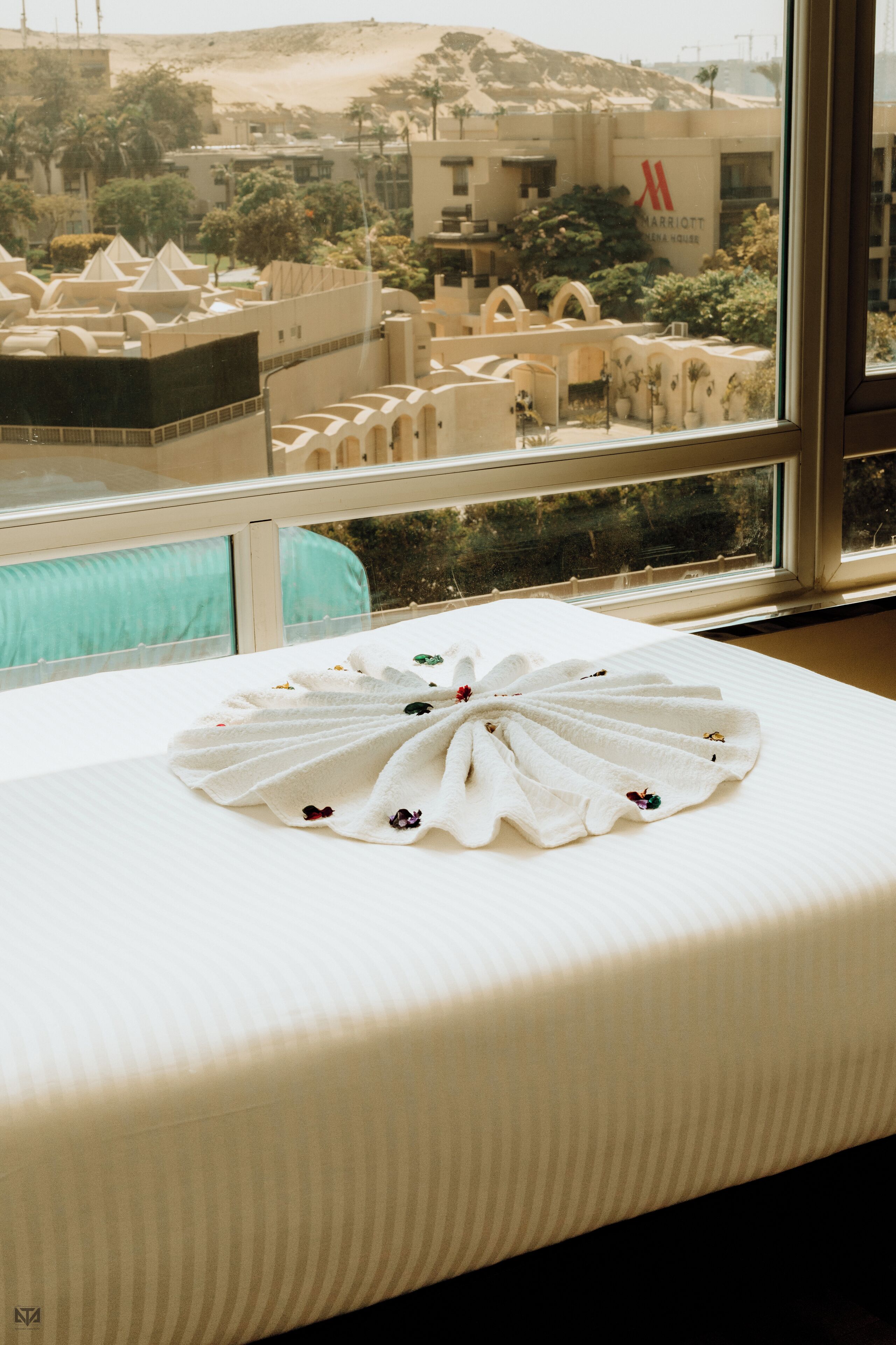 Foto - Turquoise Pyramids View Hotel