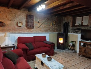 Smart TV, fireplace, books