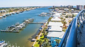 Unclassified image, 2 of 50, button - Bella Luna 1006 (Orange Beach)
