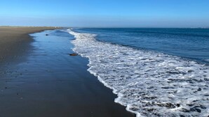Une plage avec un ciel dégagé et des vagues douces.